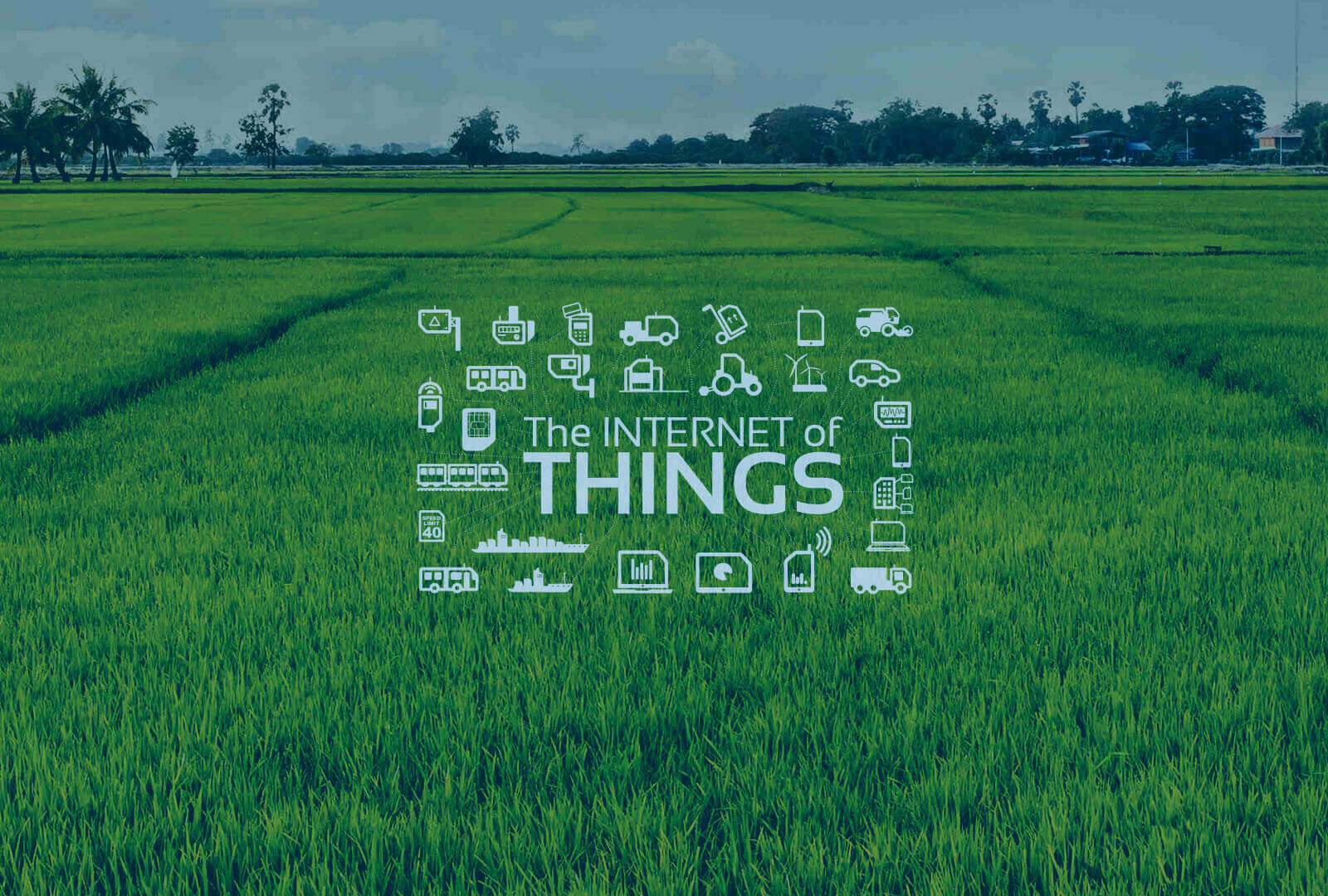 IoT Applications in Agriculture IoT Applications in Agriculture